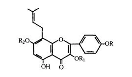 product-269-158 product-269-158