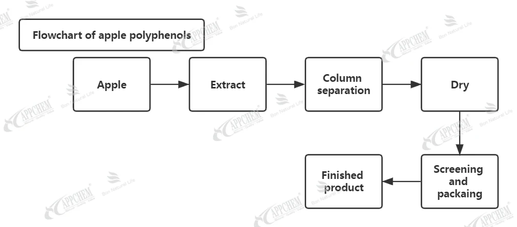 product-779-339 Flowchart of apple polyphenols