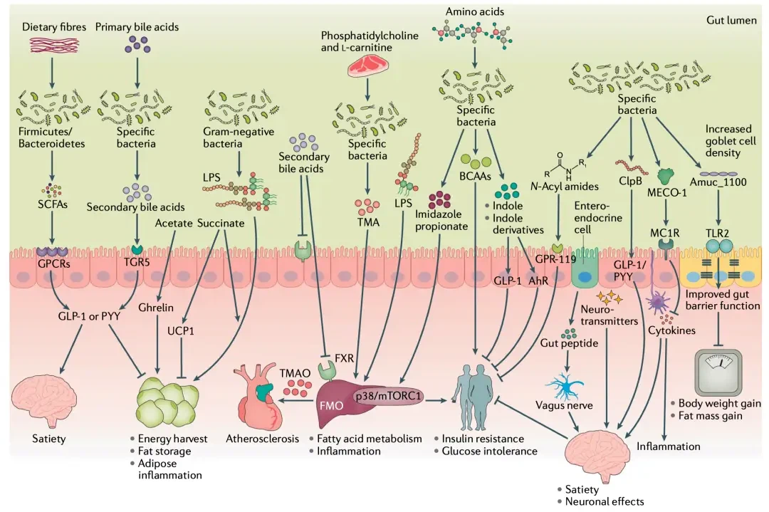 product-1080-719 product-1080-719
