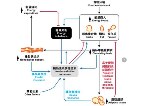 -496-372 -496-372