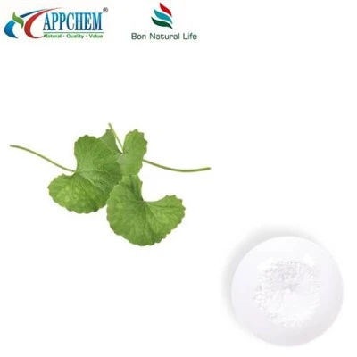 Centella Asiatica ekstrakta pulveris