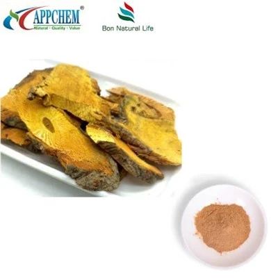 Resveratrol Polygonum Cuspidatum ekstrakta pulveris